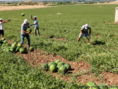 Agriculture Workers